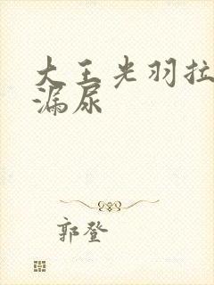 大王光羽拉拉裤漏尿