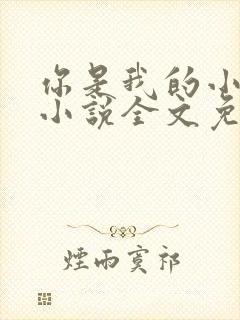你是我的小确幸小说全文免费阅读
