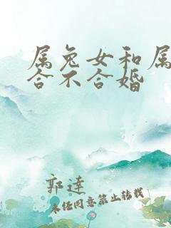 属兔女和属马的合不合婚