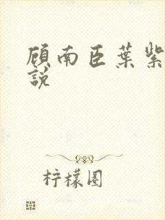 顾南臣叶紫夏小说
