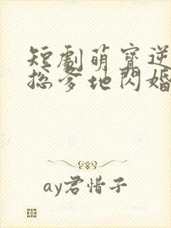 短剧萌宝逆袭霸总爹地闪婚超能妈咪