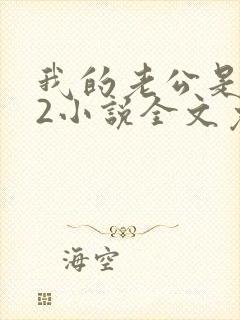 我的老公是冥王2小说全文免费阅读