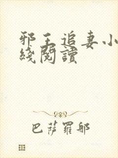 邪王追妻小说在线阅读