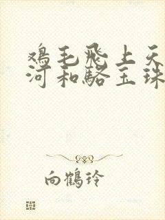 鸡毛飞上天陈江河和骆玉珠有孩子吗