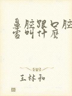 鼻腔跟口腔连接处叫什么