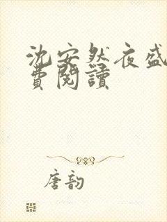 沈安然夜盛霆免费阅读