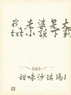 我老婆是大明星txt小说下载