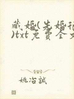 藏婚(先婚后爱)txt免费全文阅读