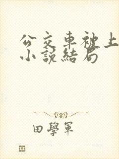 公交车被上高潮小说结局