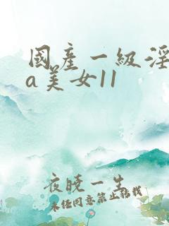 国产一级淫片aa美女11