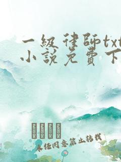 一级律师txt小说免费下载