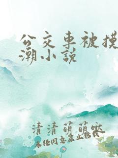 公交车被摸到高潮小说