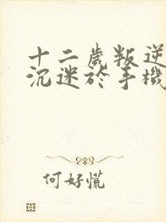 十二岁叛逆孩子沉迷于手机上瘾