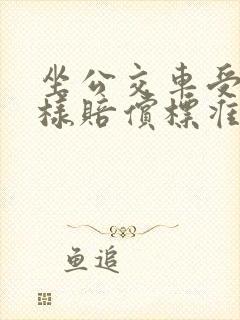 坐公交车受伤怎样赔偿标准