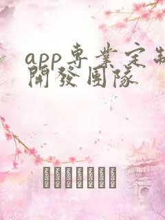 app专业定制开发团队