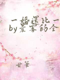 一婚还比一婚高by晨雾的全文阅读