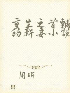 重生之首辅大人的新妻小说全文免费阅读