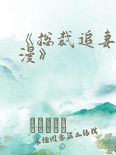 《总裁追妻路漫漫》