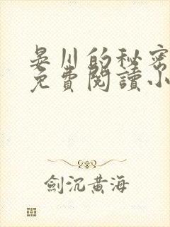 晏川的秘密全文免费阅读小说