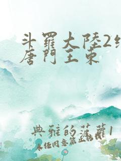 斗罗大陆2绝世唐门王东