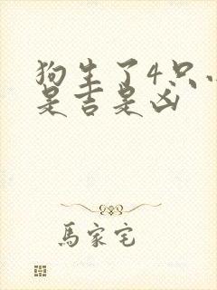 狗生了4只小狗是吉是凶