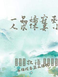 一品娇宠丞相大人求休妻 小说免费阅读完本