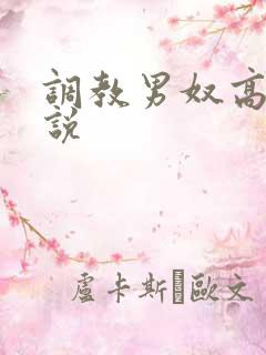 调教男奴高h小说