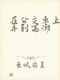 在公交车上被人弄到高潮