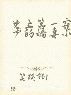 史上第一宠婚慕少的娇妻小说免费