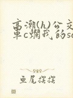 高潮(h)公交车c烂我的sao