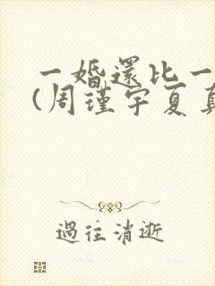 一婚还比一婚高(周瑾宇夏真钰)