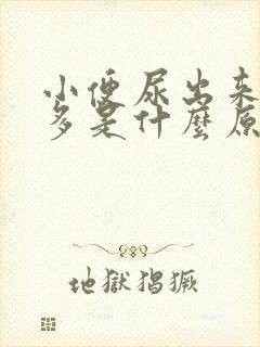 小便尿出来泡泡多是什么原因
