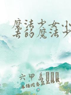 魔法少女小圆死去的魔法少女会被指引到哪里