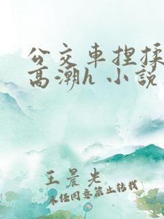 公交车捏揉花蒂高潮h 小说