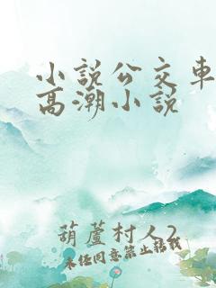 小说公交车被上高潮小说