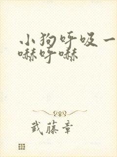 小狗呼吸一直呼哧呼哧