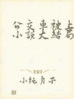 公交车被上高潮小说大结局