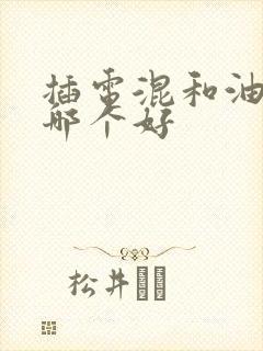 插电混和油电混哪个好