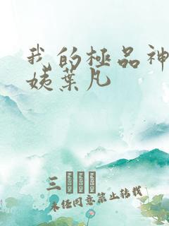 我的极品神级小姨叶凡