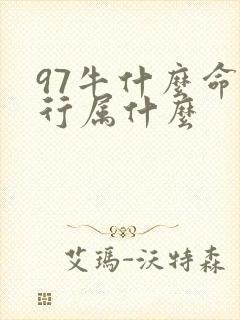 97牛什么命五行属什么