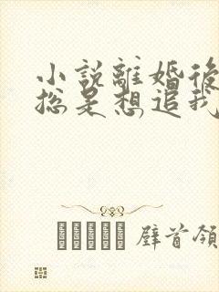 小说离婚后前夫总是想追我