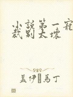 小说第一宠婚总裁别太坏