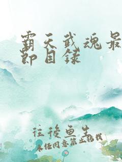 霸天武魂最新章节目录
