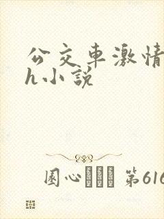公交车激情乱淫h小说