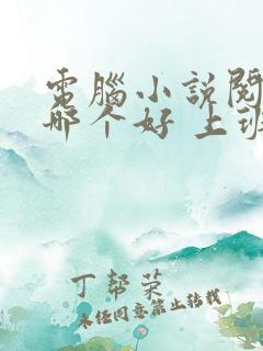 电脑小说阅读器哪个好 上班