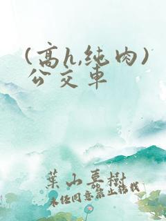 (高h,纯肉)公交车