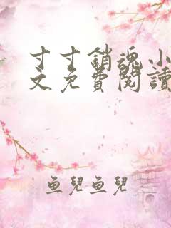 寸寸销魂小说全文免费阅读
