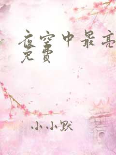 夜空中最亮的星免费