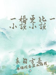 一婚更比一婚高小说小说