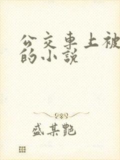 公交车上被人操的小说